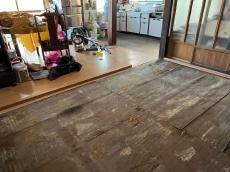 20240803isamateityuu (1).jpg